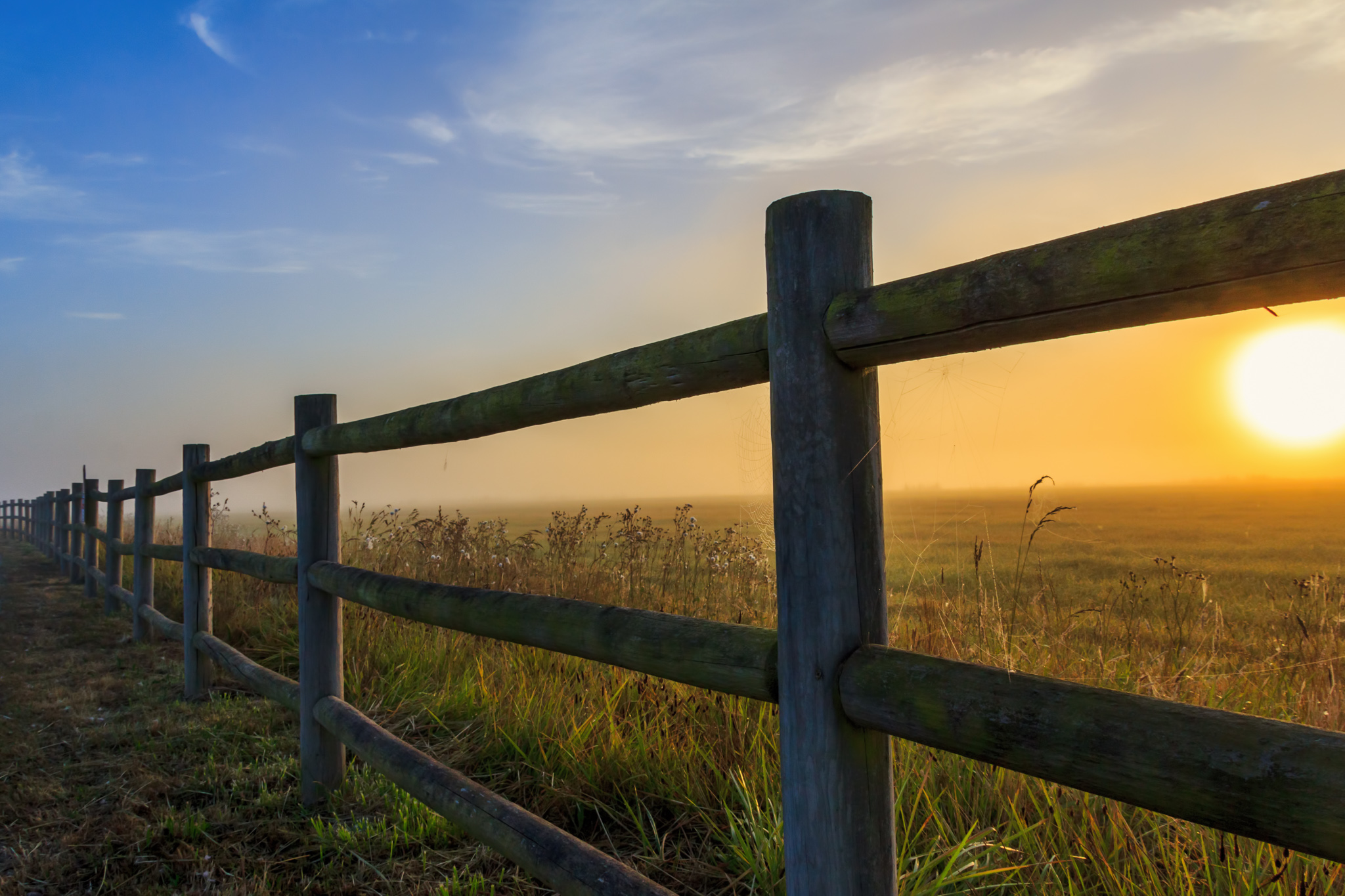 A wooden fence borders a corn field at sunrise.