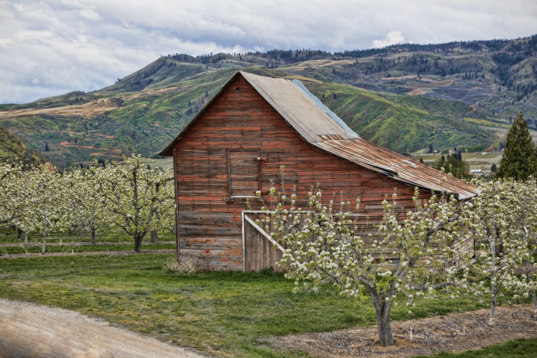 A fruit bard sits in an orchard, with the hills in the background.
