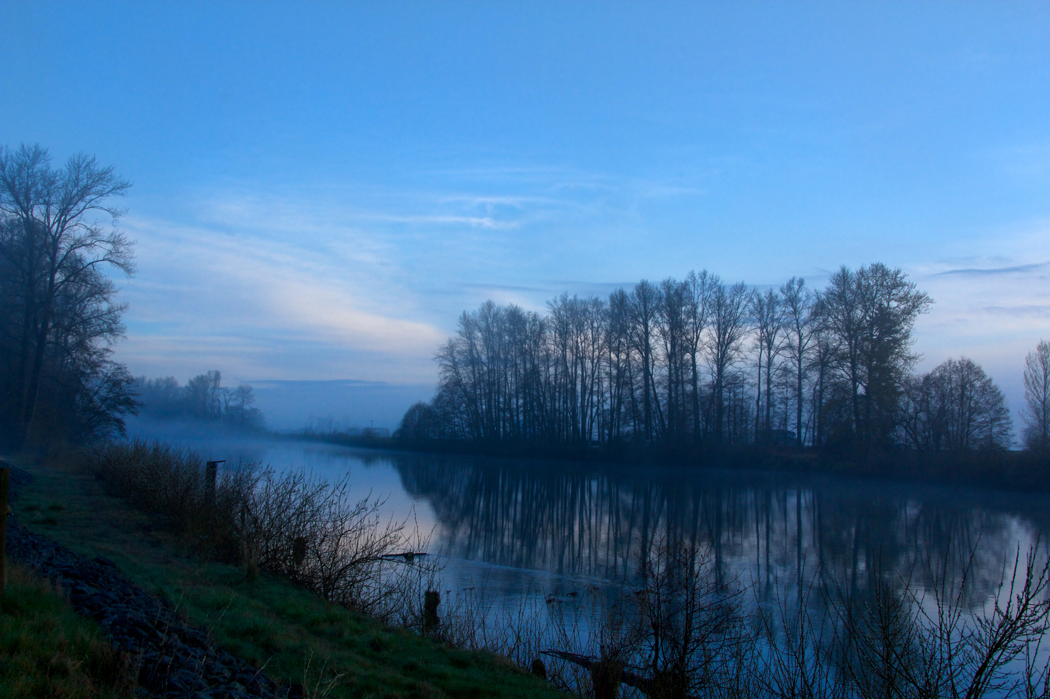 Trees and blue sky and water.